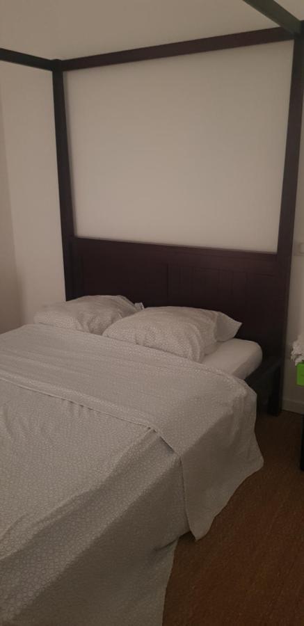 Centre Ville Le Puy-En-Velay Au 1Er Etage ภายนอก รูปภาพ